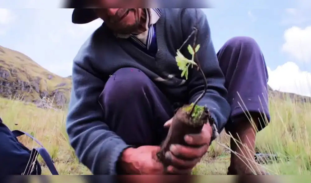 Agricultores de Cusco realizan esfuerzos contra el cambio climático.