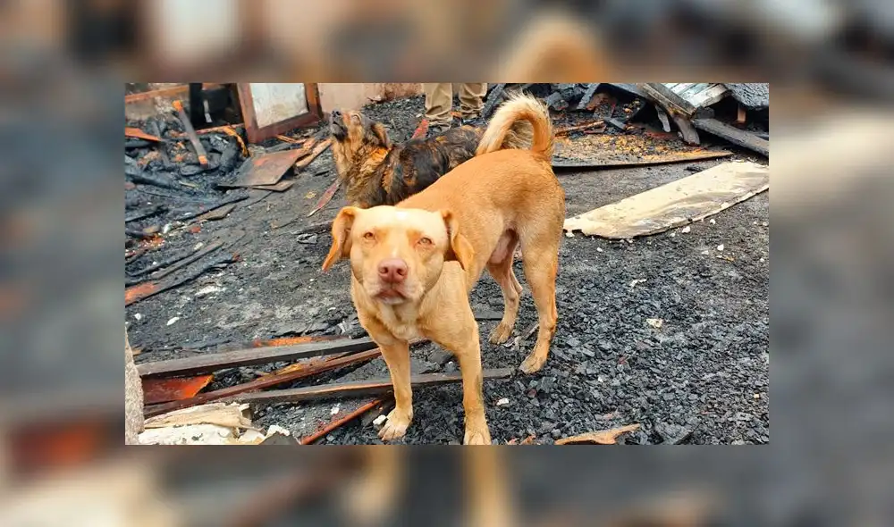 Foto: María Pía Ponce / URPI-GLR. Foto: María Pía Ponce / URPI-GLR.