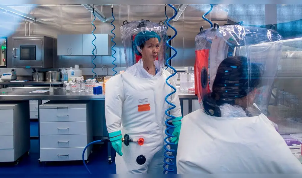 Shi Zhengli realizaba investigaciones sobre  virus en murciélagos desde el 2004. Foto: AFP