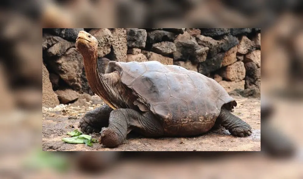 Smoke rise from North Korea's Kaesong Industrial Complex where an inter-korean liaison office was set up in 2018, as seen from South Korea's border city of Paju on June 16, 2020. - North Korea blew up an inter-Korean liaison office on its side of the border on June 16, the South's Unification ministry said, after days of increasingly virulent rhetoric from Pyongyang. (Photo by STR / YONHAP / AFP) / - South Korea OUT / REPUBLIC OF KOREA OUT NO ARCHIVES RESTRICTED TO SUBSCRIPTION USE Smoke rise from North Korea's Kaesong Industrial Complex where an inter-korean liaison office was set up in 2018, as seen from South Korea's border city of Paju on June 16, 2020. - North Korea blew up an inter-Korean liaison office on its side of the border on June 16, the South's Unification ministry said, after days of increasingly virulent rhetoric from Pyongyang. (Photo by STR / YONHAP / AFP) / - South Korea OUT / REPUBLIC OF KOREA OUT NO ARCHIVES RESTRICTED TO SUBSCRIPTION USE