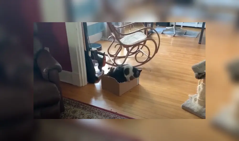 Desliza hacia la izquierda para ver las imágenes del viral de Facebook. Desliza hacia la izquierda para ver las imágenes del viral de Facebook.