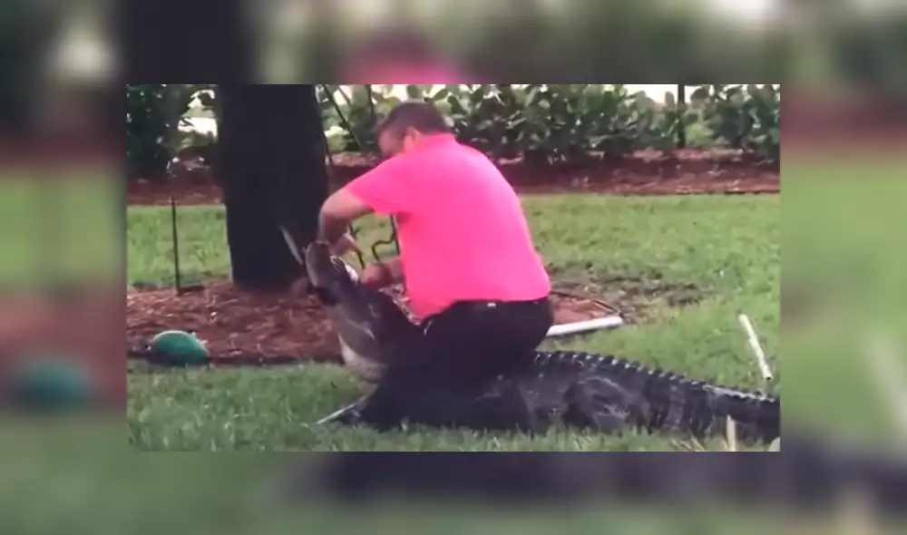 Youtube viral: Familia elimina extraña criatura que apareció en su piscina [VIDEO]