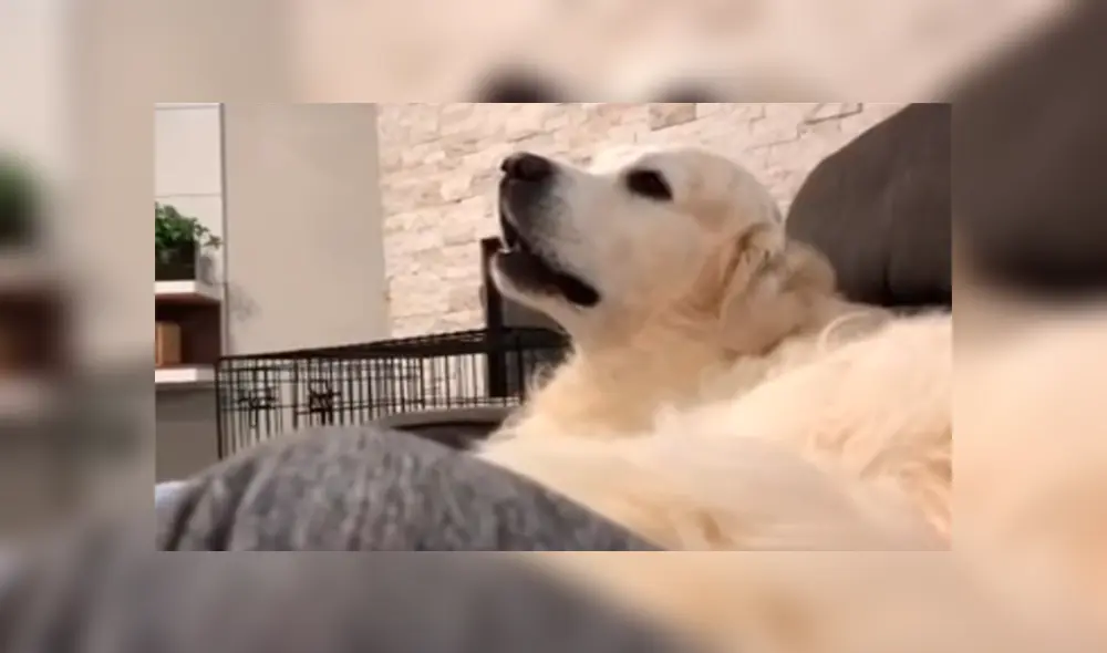 Desliza para ver lo momento más divertidos del video que se hizo viral en YouTube. Desliza para ver lo momento más divertidos del video que se hizo viral en YouTube.