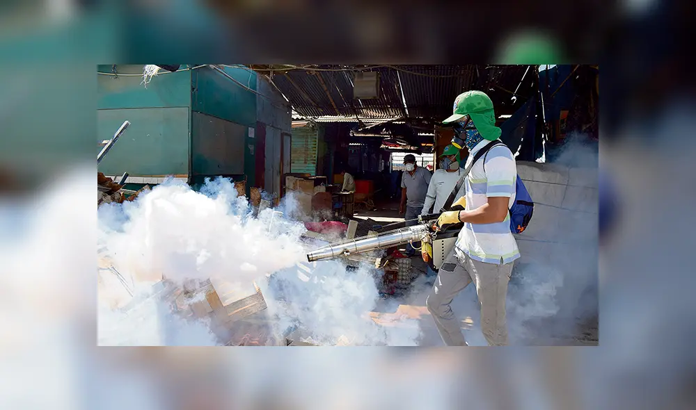 Dengue: la enfermedad con la que convivimos hace 30 años