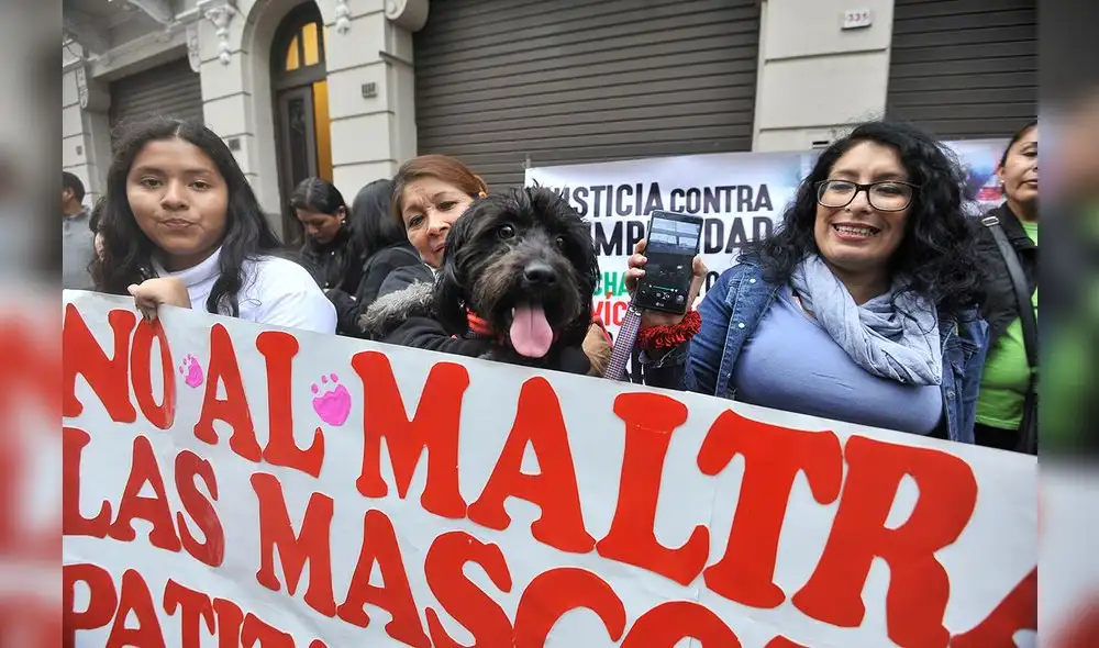 Grupo de animalistas busca concientizar sobre el maltrato animal [FOTOS]