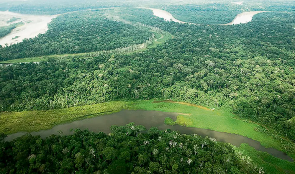 amazonia
