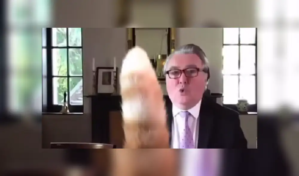 Desliza las imágenes para ver más sobre esta curiosa escena que protagonizó un travieso gato. (Foto: captura) Desliza las imágenes para ver más sobre esta curiosa escena que protagonizó un travieso gato. (Foto: captura)