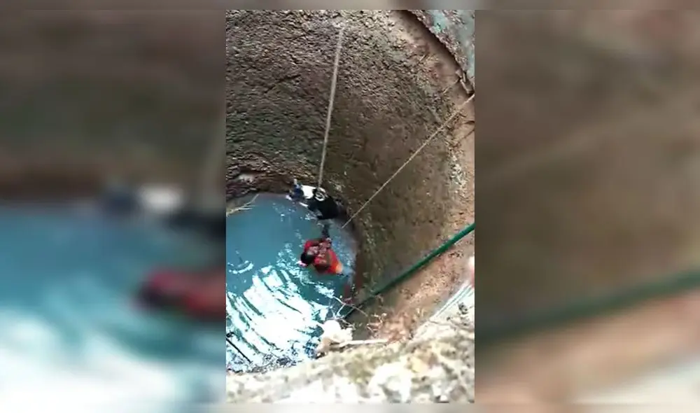 Desliza para enterarte cómo logra esta mujer rescatar a un pobre perrito atrapado en el fondo de un pozo. Foto: Captura. Desliza para enterarte cómo logra esta mujer rescatar a un pobre perrito atrapado en el fondo de un pozo. Foto: Captura.