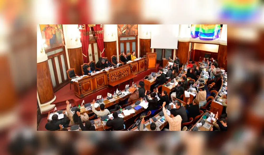 La Cámara de Diputados avaló la continuidad de Jeanine Áñez en su cargo. Foto: difusión La Cámara de Diputados avaló la continuidad de Jeanine Áñez en su cargo. Foto: difusión