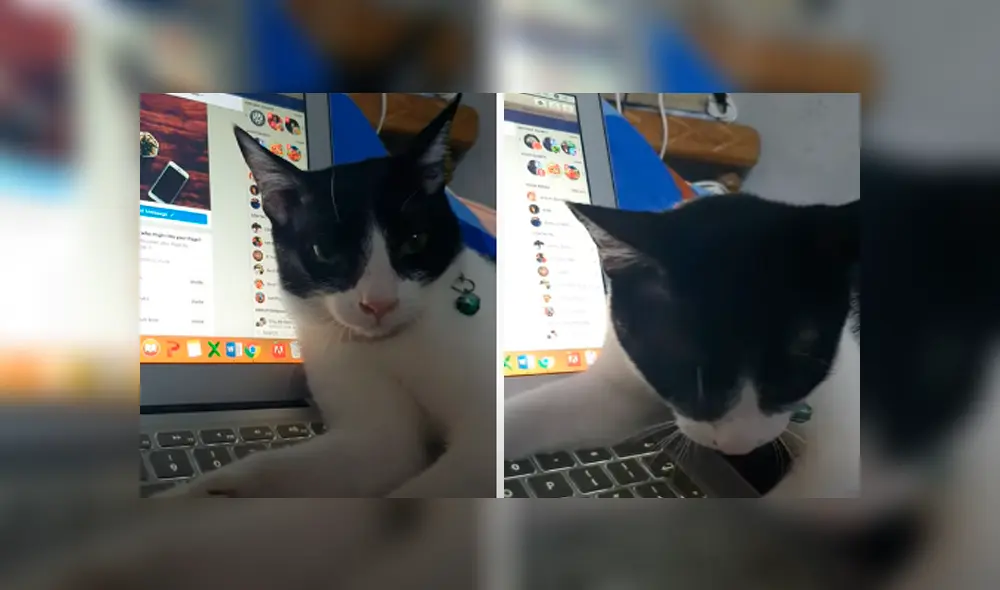 Desliza hacia la izquierda para ver las imágenes del viral de YouTube. Desliza hacia la izquierda para ver las imágenes del viral de YouTube.