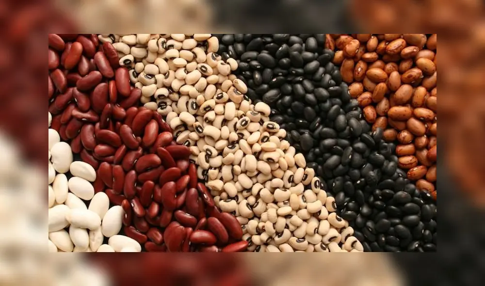 El Ministerio de Salud recomendó el consumo de menestras para mejorar la salud. (Foto: Agraria.pe)