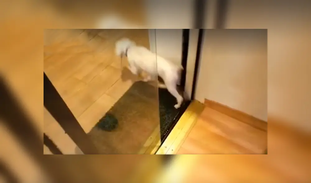 Desliza a la izquierda para conocer el nuevo viral de YouTube. Foto: Captura. Desliza a la izquierda para conocer el nuevo viral de YouTube. Foto: Captura.