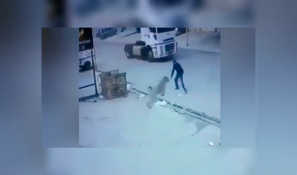 Desliza hacia la izquierda para ver las imágenes del video viral de Facebook. Desliza hacia la izquierda para ver las imágenes del video viral de Facebook.