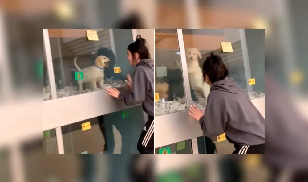 Desliza para ver todas las imágenes de Facebook. Foto: captura Desliza para ver todas las imágenes de Facebook. Foto: captura