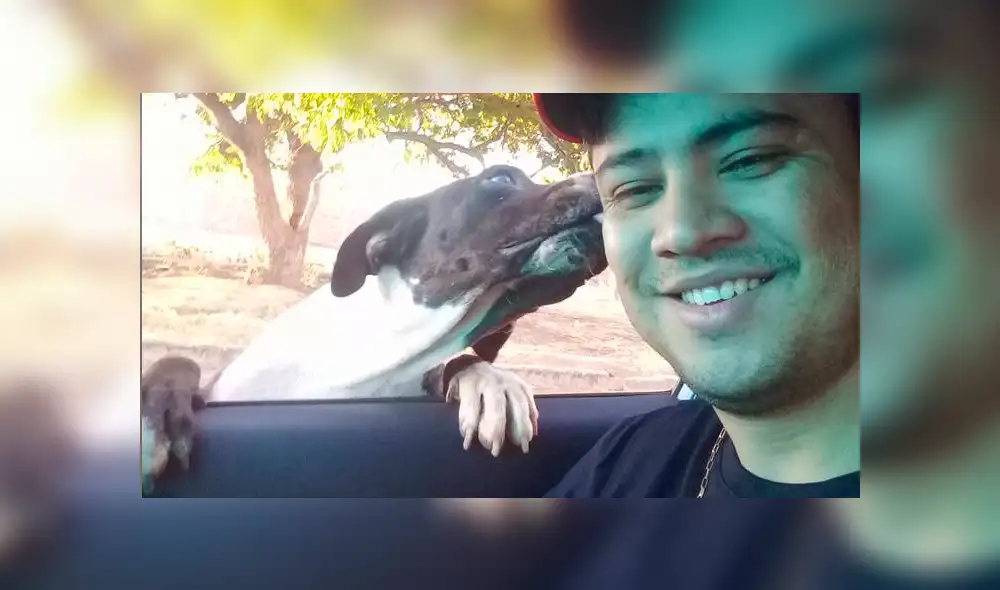 Vía Facebook: este es el primer 'restautant canino' para que Firulais tenga una cita romántica [FOTOS]