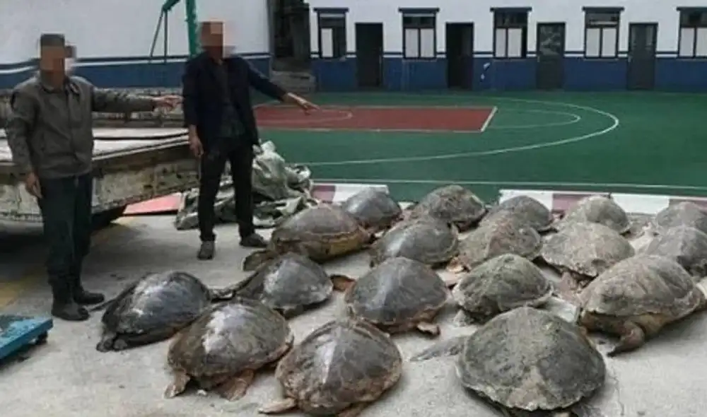 Shen fue capturado junto a sus otros dos cómplices. Foto: Clarín Shen fue capturado junto a sus otros dos cómplices. Foto: Clarín