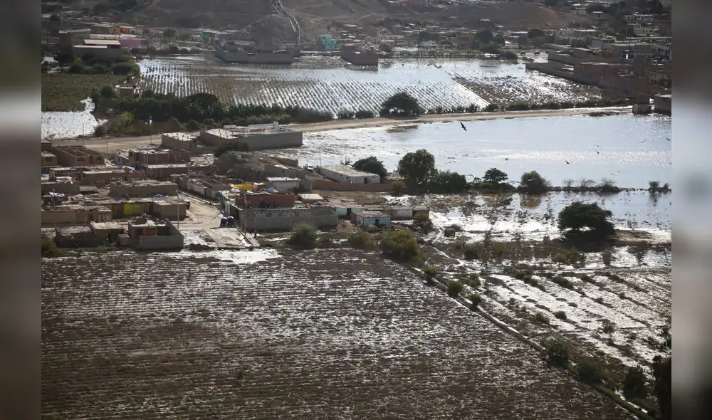 En 60 días se entregará bono de hasta S/ 4 mil a agricultores