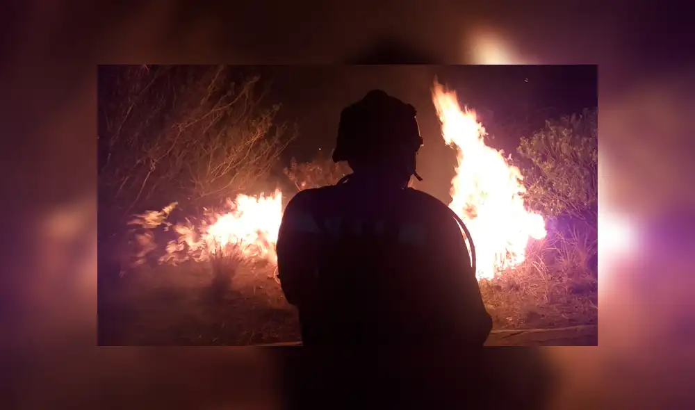 Los servicios de emergencia han reportado que el incendio está bajo control en su totalidad. Foto: Difusión.