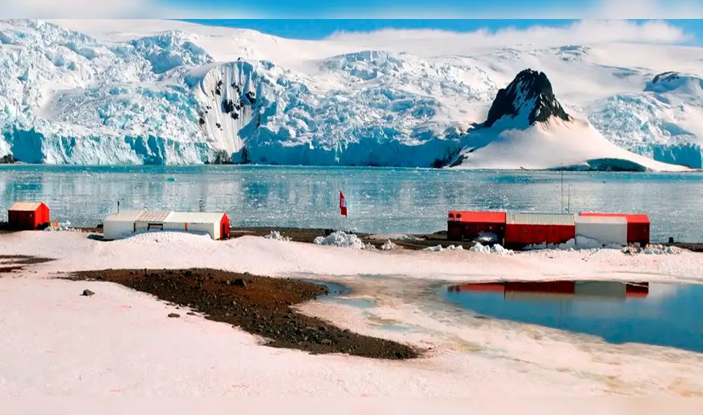 Buscan combatir el impacto de los plástico.s. Buscan combatir el impacto de los plástico.s.