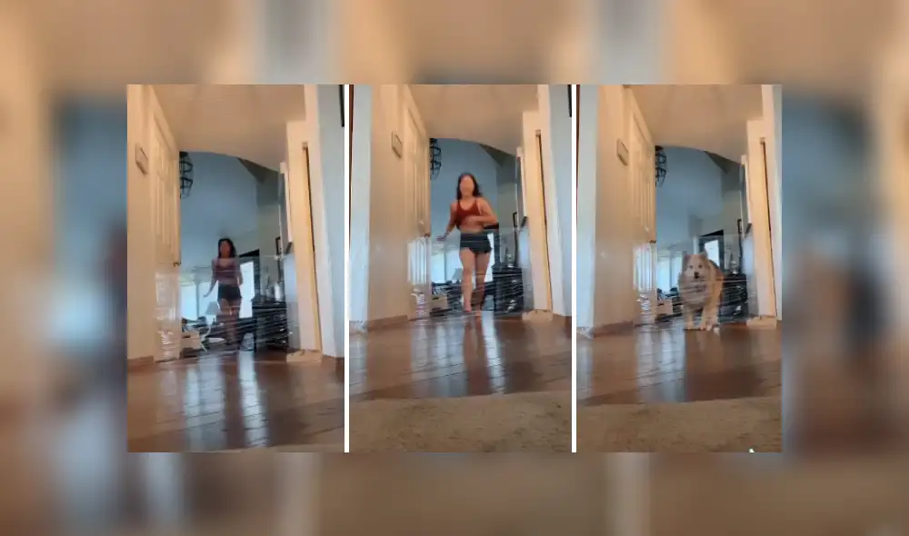 Desliza las imágenes para ver más detalles de esta divertida escena que es viral en TikTok.