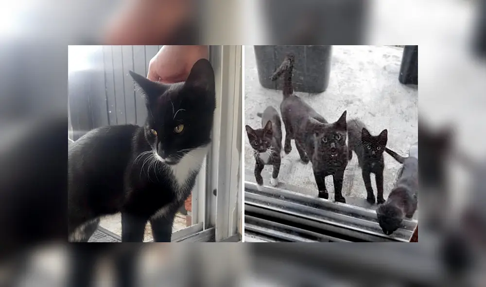 Desliza para ver los detalles de esta historia que se viralizó en Facebook. Foto: Captura. Desliza para ver los detalles de esta historia que se viralizó en Facebook. Foto: Captura.