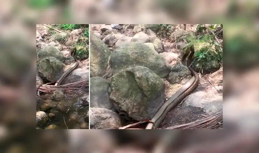 Desliza para ver los detalles del video viral publicado en YouTube. Foto: Captura. Desliza para ver los detalles del video viral publicado en YouTube. Foto: Captura.