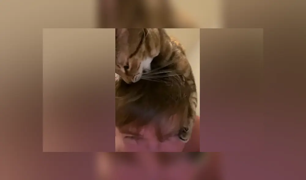 Desliza hacia la izquierda para ver las tiernas imágenes del viral de Facebook.