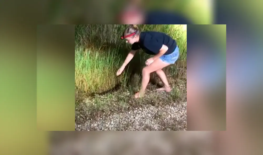 YouTube viral: mujer intenta capturar a enorme pitón con las manos, sin imaginar la reacción del depredador