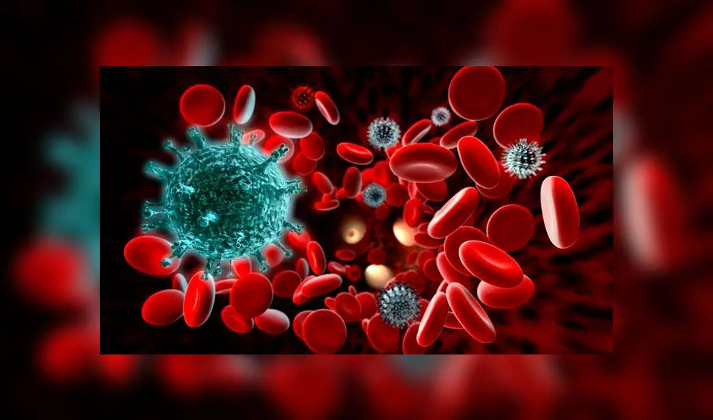 El sistema inmunológico defiende naturalmente al cuerpo de los virus y bacterias. Foto: Referencial