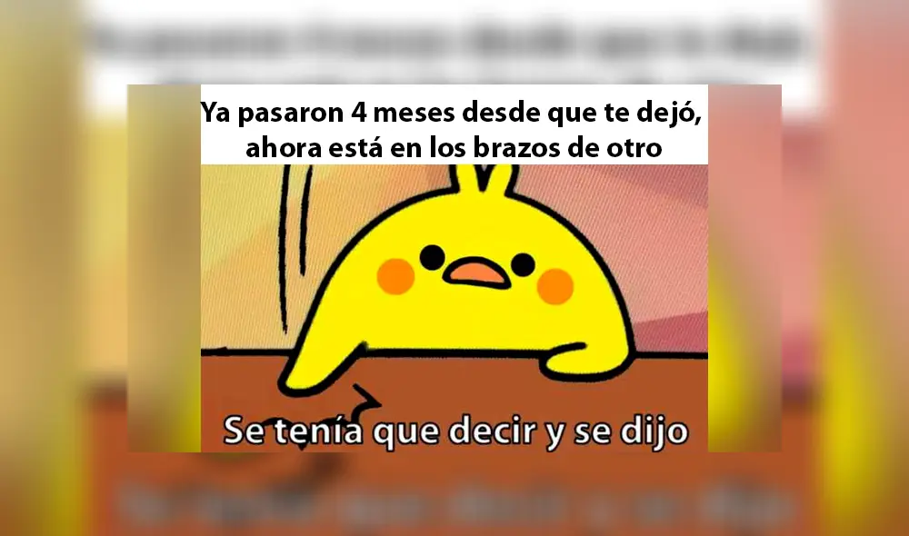 Facebook: 'se tenía que decir y se dijo', conoce el origen del meme del pollito [FOTOS] 