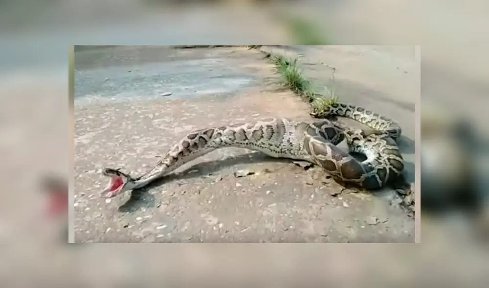 El espeluznante momento quedó registrado en una impactante grabación que se ha hecho viral en YouTube y otras redes El espeluznante momento quedó registrado en una impactante grabación que se ha hecho viral en YouTube y otras redes