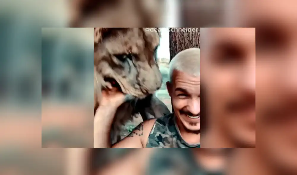 Facebook viral: joven ingresa a santuario de león para tomarse ‘selfie’, sin imaginar efusiva reacción del depredador