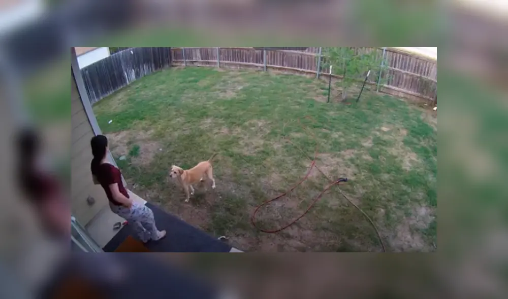 Desliza hacia la izquierda para ver las imágenes del viral de YouTube.