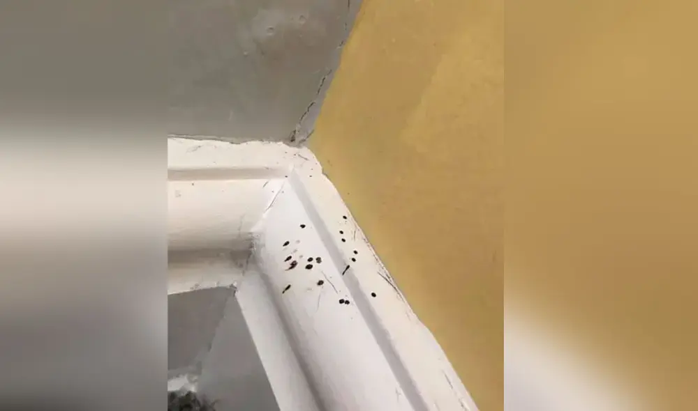 La mujer quedó completamente sorprendida al descubrir el origen de aquellas manchas. Foto: Facebook