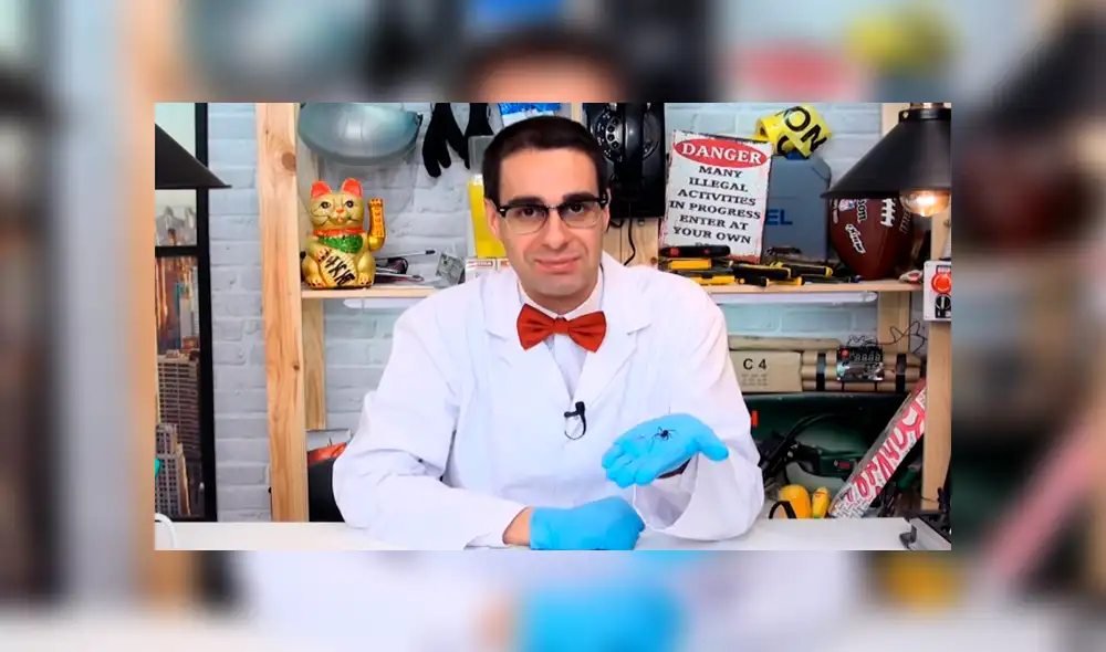 YouTube: Parten a una viuda negra a la mitad y en su interior encuentran algo espeluznante [VIDEO] 