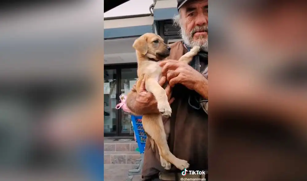 Desliza las imágenes para conocer un poco más sobre este anciano y su pequeña mascota. Foto: captura de TikTok/Chemanimals