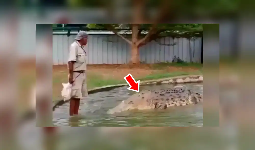 YouTube viral: Hombre se sube encima de cocodrilo para alimentarlo y ocurre algo impensado [VIDEO] 