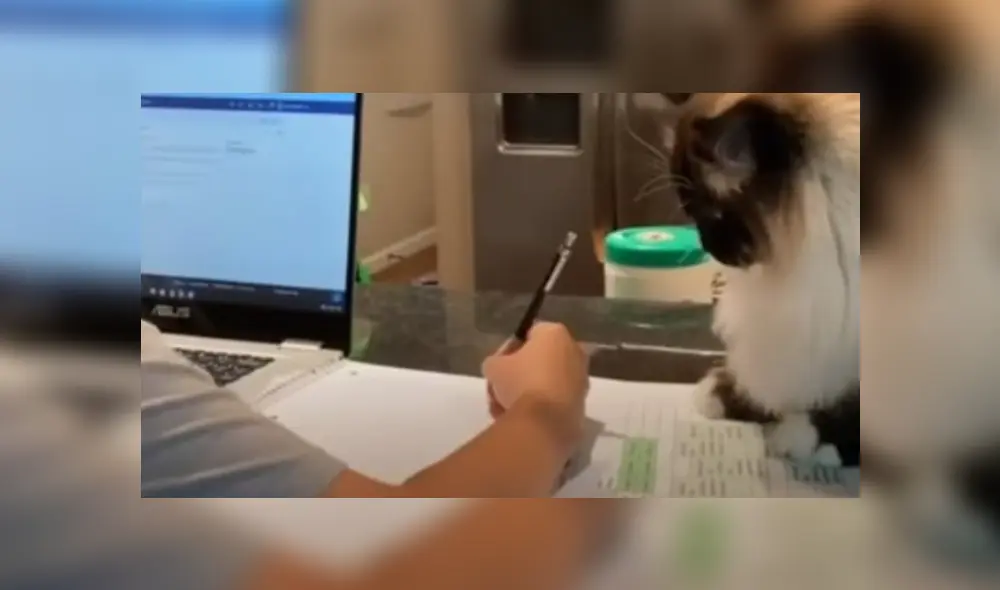 Desliza hacia la izquierda para ver más del video viral Desliza hacia la izquierda para ver más del video viral