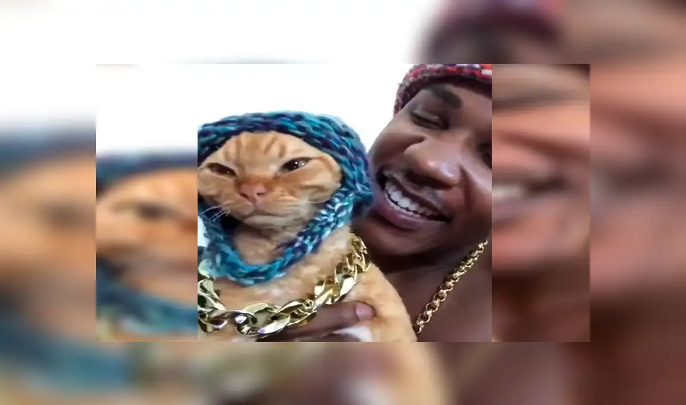 Facebook viral: joven juega con su pequeño gato y le dedica una canción de Drake a su propio estilo [VIDEO]