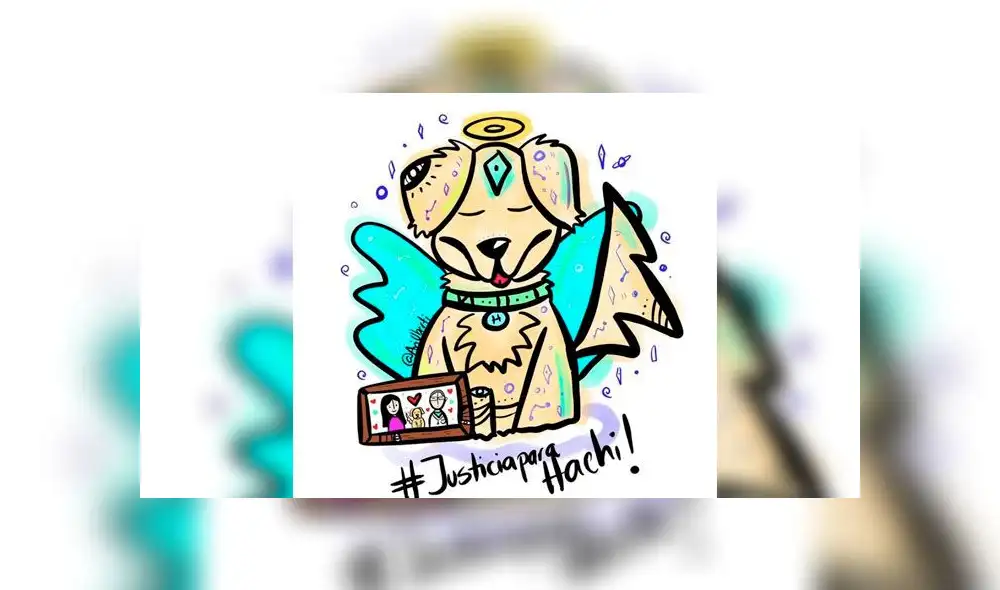 ‘Hachi’, el golden retriever que murió en un vuelo y aerolínea no permitió que familiares lo vieran [VIDEO]