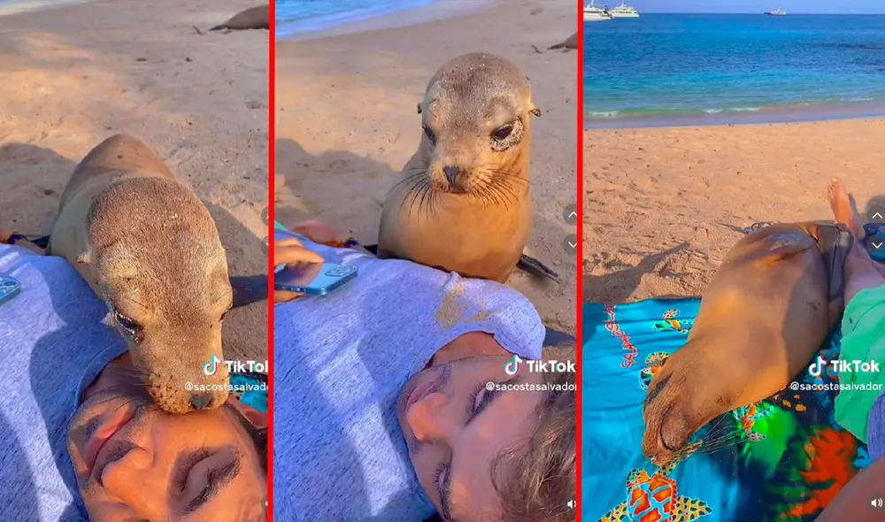 El video posee más de dos millones de reproducciones en TikTok. Foto: composición/captura TikTok