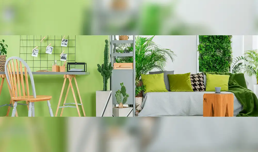 Verde: Elige este color para la decoración de tu casa o departamento Verde: Elige este color para la decoración de tu casa o departamento