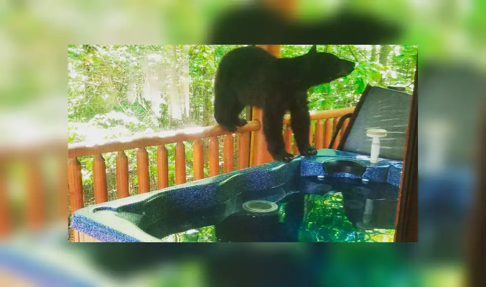 Facebook viral: Novios descubren gigantesca criatura bañándose en su jacuzzi y quedan en shock [VIDEO]