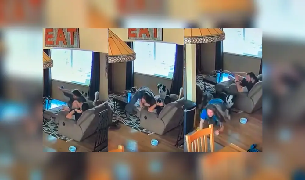 Desliza hacia la izquierda para ver la sorprendente reacción de esta mujer ante la presencia de una araña. (Foto: captura) Desliza hacia la izquierda para ver la sorprendente reacción de esta mujer ante la presencia de una araña. (Foto: captura)