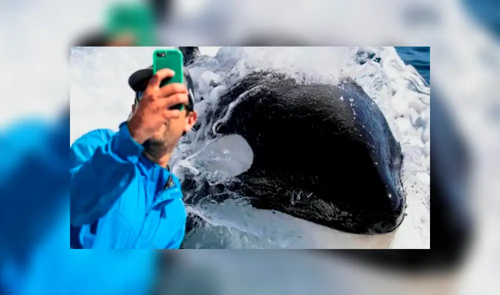 Un grupo de pescadores registró el momento en que una ballena emergió del mar y se dejó tomar distintos 'selfies'.