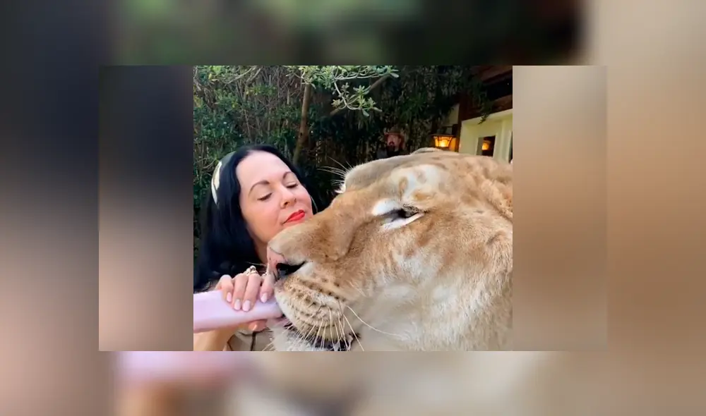 Desliza hacia la izquierda para ver la tierna escena que se volvió viral en YouTube. Desliza hacia la izquierda para ver la tierna escena que se volvió viral en YouTube.