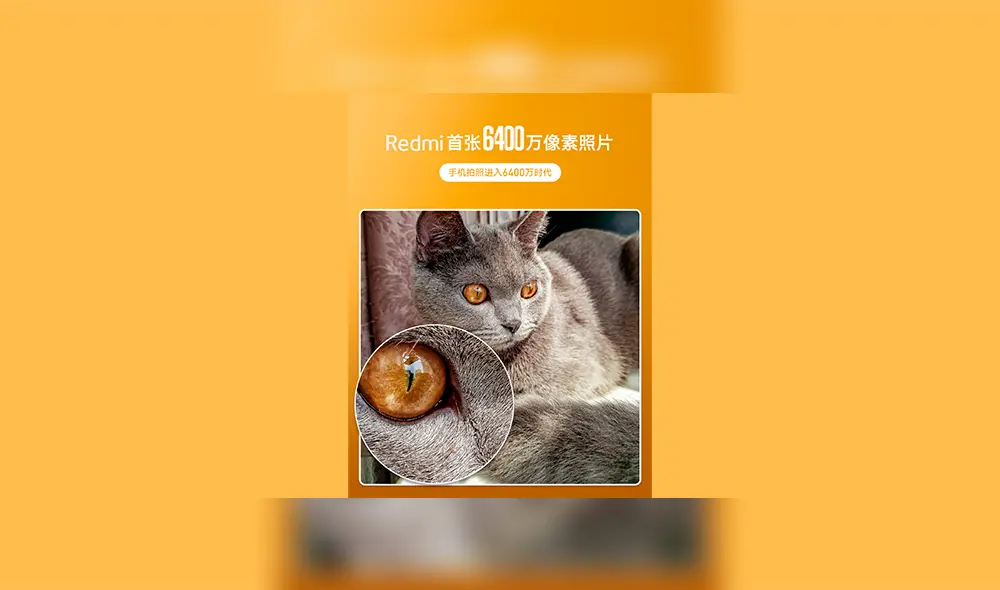 Estos son los resultados obtenidos con el sensor de 64 MP.| Foto: Xiaomi Estos son los resultados obtenidos con el sensor de 64 MP.| Foto: Xiaomi