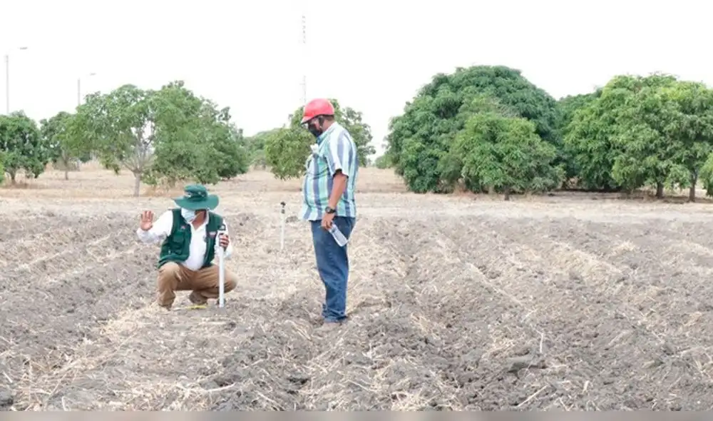 Riego tecnificado a través de dispositivos móviles Riego tecnificado a través de dispositivos móviles