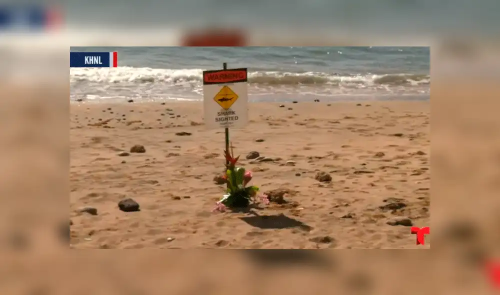 Hombre muere atacado por un tiburón en Hawái mientras nadaba