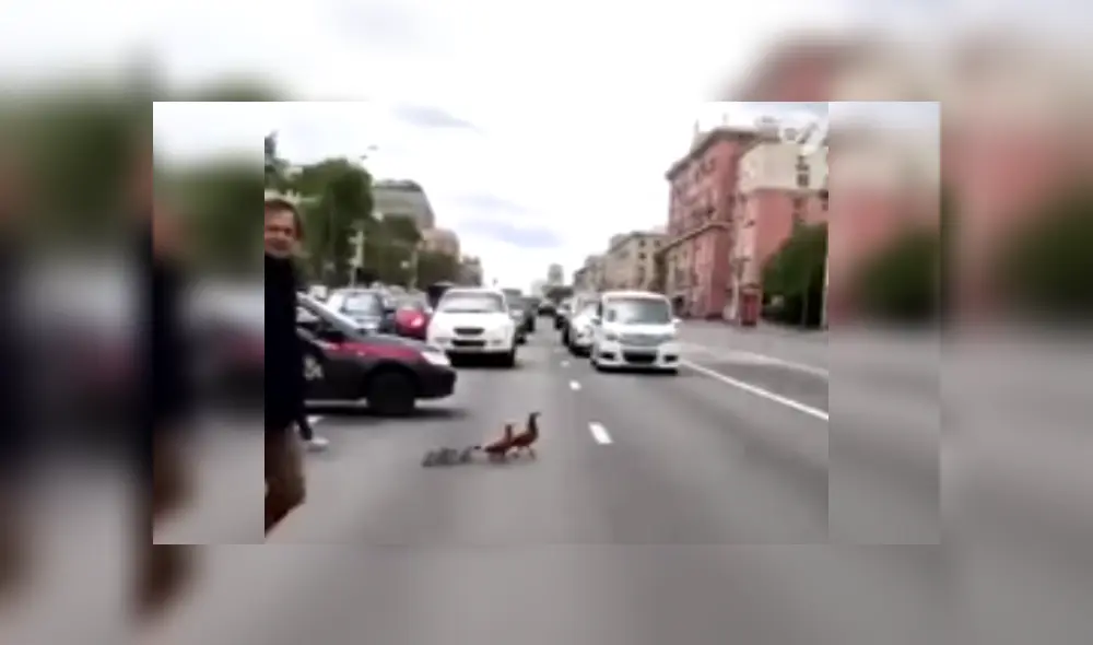 Desliza las imágenes para conocer más de esta escena que es viral en Facebook.